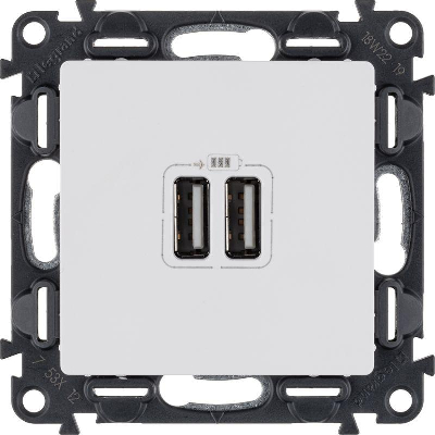 Электропитание USB Розетка USB 2-м Valena Life 240В/5В 2400мА с лицев. панелью механизм бел. Leg 753412
