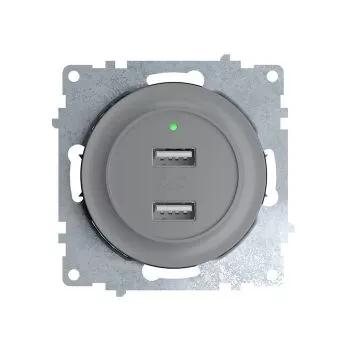 Розетка силовая (штепсельная) Розетка USB 2-м СП Florence 16А IP20 с подсветкой механизм сер. (1E10351302) OneKeyElectro 2260091