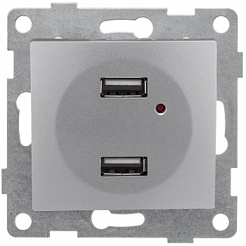Вставка/крышка для коммуникационных технологий Розетка USB 2-м СП Bravo механизм серебр. GUSI С10USB2-004
