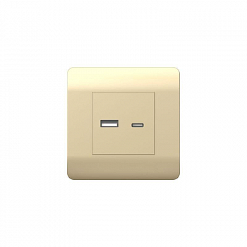 Розетка силовая (штепсельная) Розетка USB NEW3-E тип A+C 5В/2.1А шампань CHINT 431450