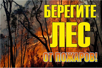Знак безопасности/Предупреждающий знак Знак "Берегите лес от огня!" 1200х800мм EKF zn-1-02