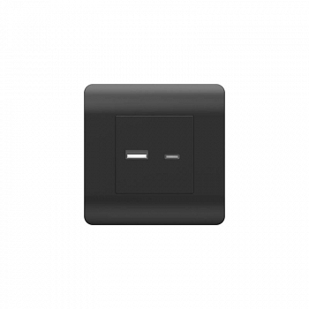 Розетка силовая (штепсельная) Розетка USB NEW3-E тип A+C 5В/2.1А черн. CHINT 431501