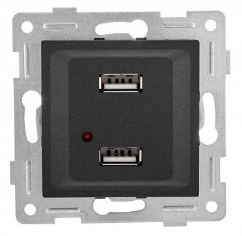 Вставка/крышка для коммуникационных технологий Розетка USB 2-м СП Ugra механизм графит GUSI С11USB2-010