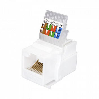 Разъем модульный Модуль розеточный Keystone Jack 8P8C RJ-45 UTP кат.5E заделка без инструмента бел. (DIY) SUPRLAN 10-0312-1
