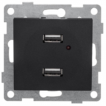 Вставка/крышка для коммуникационных технологий Розетка USB 2-м СП Bravo механизм графит GUSI С10USB2-010